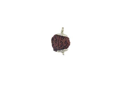 GANESHA RUDRAKSHA  WITH CAP-PAUDJWKPJS1915163