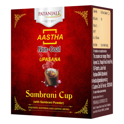 Aastha Sambrani Cup