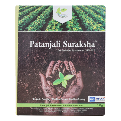 Patanjali Suraksha