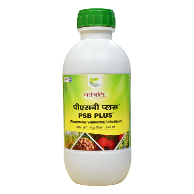 Patanjali PSB Plus