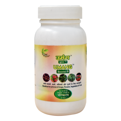 Patanjali Umang